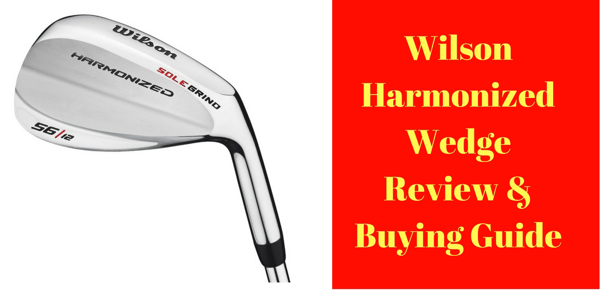 wedge buying guide